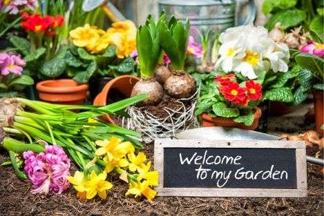 Bountiful garden plants with welcome to my garden sign