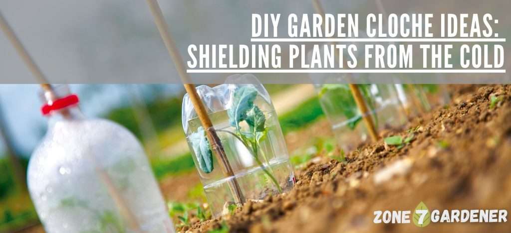 Homemade DIY garden cloches from upcycled materials
